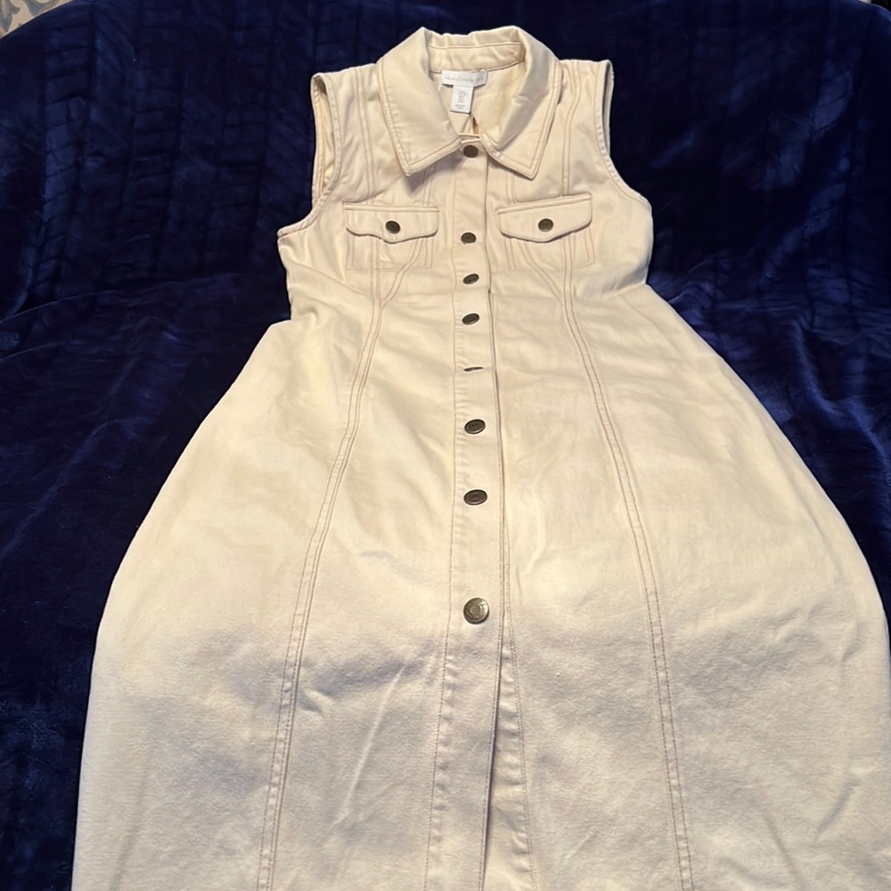 NWT House of Harlow 1960 Collar Sleeveless Denim Shank Button Front Maxi Dress - Picture 3 of 14